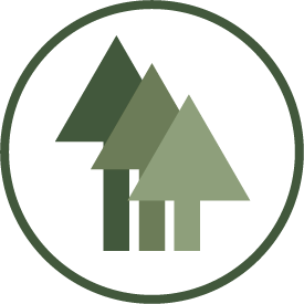 The Understory Collection